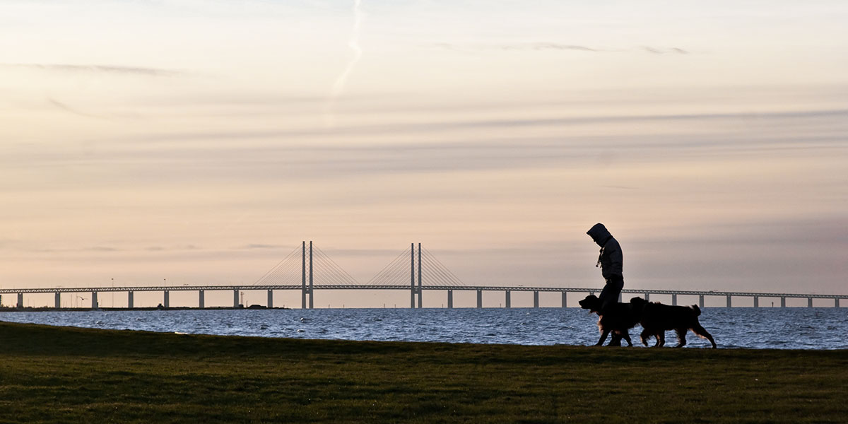 我們的渠道覆蓋范圍