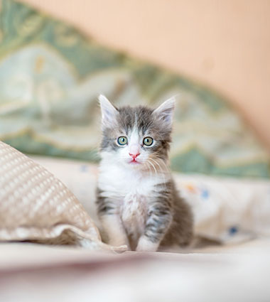 如何度過(guò)適應(yīng)期？