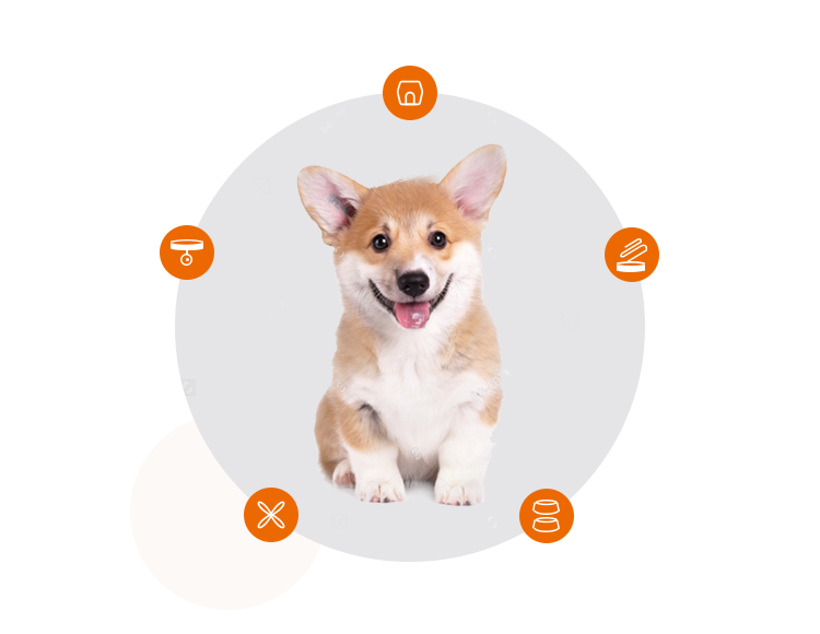 如何為幼犬準(zhǔn)備新家生活？