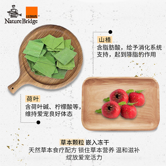 比瑞吉優(yōu)選全價(jià)英國短毛貓成年期貓糧